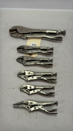 (6) Locking Pliers