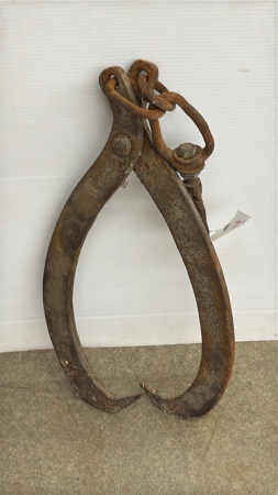Large Set of Log Tongs