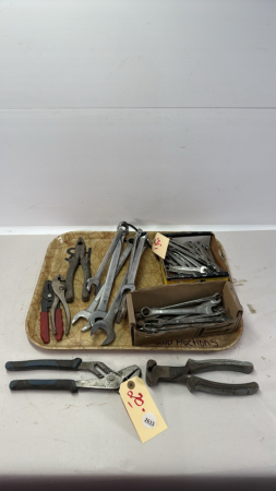 Assorted Tray Lot