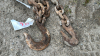 15ft Heavy Logging Chain with Hooks - 2