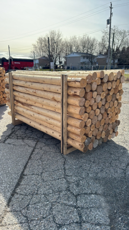 92-4in x 8ft Cedar Posts