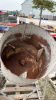 Cement Mixer with Motor - 3