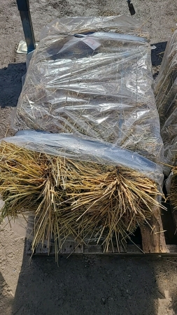 100-45lb Bales of Frist Cut Hay