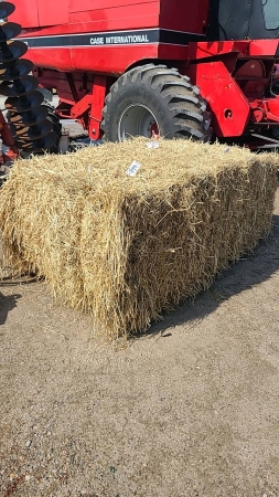 36-Square 3x4x8 of Hay