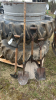 Lot of Shovels and Edger