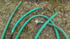 4 Lengths of 2in Hose - 5