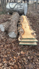 Lot of 4 White Ash Planks and Black Walnut Log - 5
