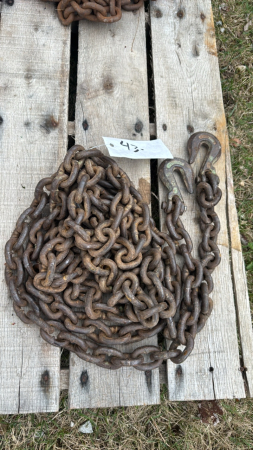17ft Logging Chain With Hooks