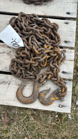 17ft logging chain with hooks