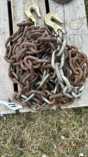 20ft logging chain with hooks