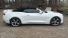 2016 Chevrolet Camaro 2SS Convertible, 16,648km VIN: 1G1FH3D76G0179661 - 8