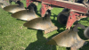 International 4 Furrow Trail Plow - 8