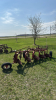 Cockshutt 4A 5 Furrow Trail Plow - 5