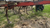 International Vibrashank 20ft Cultivator - 11