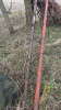 10-Sections Diamond Harrow and Poles - 2