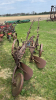 International 2 Furrow Trail Plow - 3