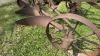 2 Furrow Trail Plow - 6