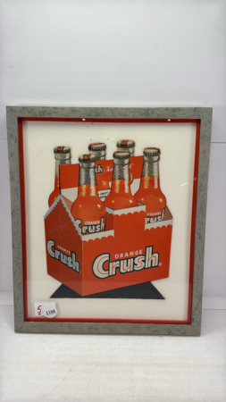 Orange Crush Picture