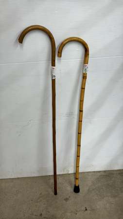 Pair of Light Canes