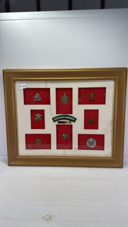 Framed Quantity of Medals