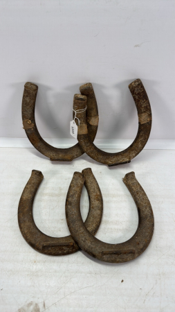 (4) 7in wide Horse Shoes