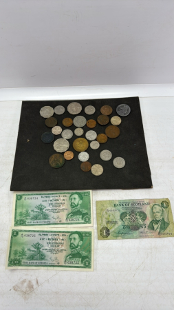 Quantity of Foreign Currency