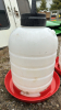 3 Millside 5 Gallon Poultry Drinkers - 4