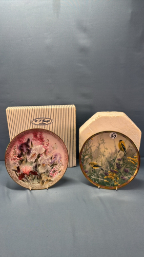 (2) Collector Plates