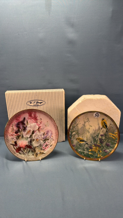 (2) Collector Plates