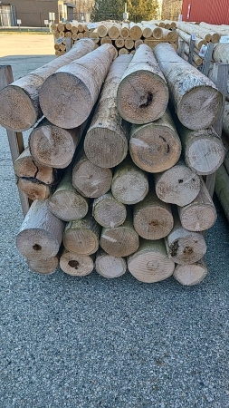 25- 8in x 8ft Cedar Fence Posts