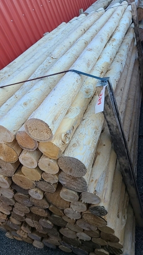 119 - 3in x 8ft Cedar Fence Posts