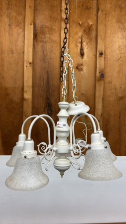 5 Lamp Ceiling Fixture