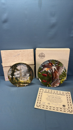 (2) Collector Plates