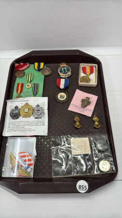 Quantity of Military Badges