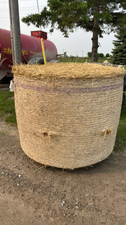 20 - 4X4.5FT ROUND BALES OF STRAW