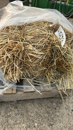 100 SMALL SQUARE BALES OF 1ST CUT HAY