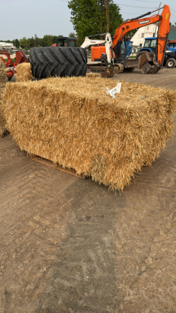25 - 4X3X6.5 BALES OF STRAW