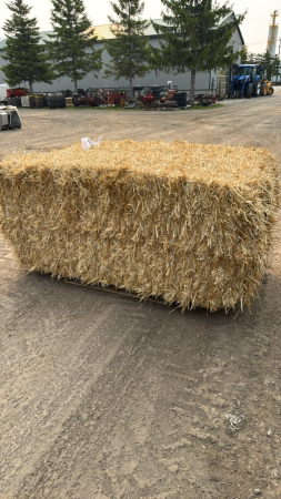 25 - 4X3X6.5 BALES OF STRAW
