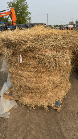 22 - 4X4.5FT ROUND BALES OF GRASS HAY