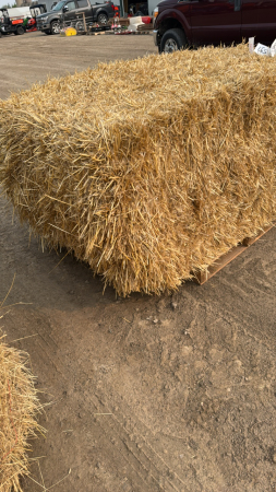 25 - 4X3X6.5 BALES OF STRAW