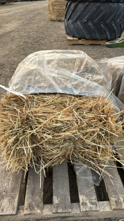 100 SMALL SQUARE BALES OF 1ST CUT HAY