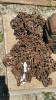 SET OF TIRE CHAINS FOR 15.5-38 - 2
