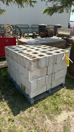 SKID OF 60 CINDER BLOCKS