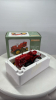 Massey Harris Pony 812 Tractor