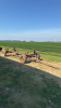 SHOPBILT HEADER WAGON
