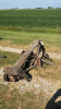 7FT 3PTH SICKLE MOWER