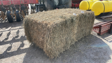 39x (4ft x3ft x7ft) Second Cut Grassy Hay