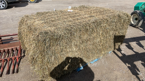 39x (4ft x3ft x7ft) Second Cut Grassy Hay