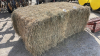 39x (4ft x3ft x7ft) Second Cut Grassy Hay - 2