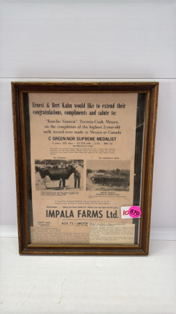 Impala Farms Holstein Advertisment